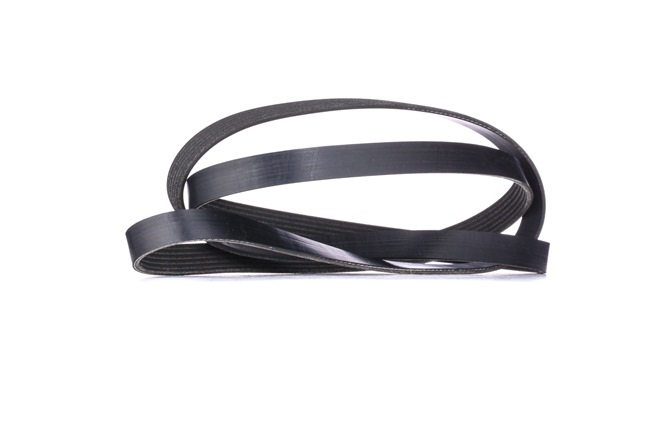 V-Ribbed Belt RIDEX 305P0158 305P0158 - photo 1