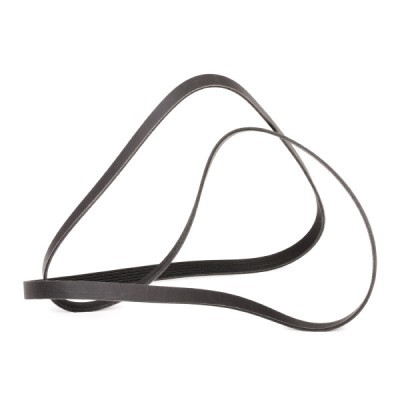 V-Ribbed Belt RIDEX 305P0531P 305P0531P - photo 3
