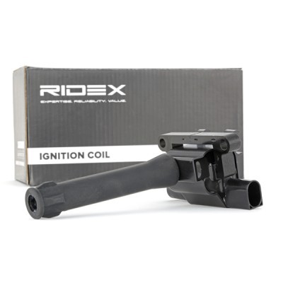 Ignition Coil RIDEX 689C0060 689C0060 - photo 3