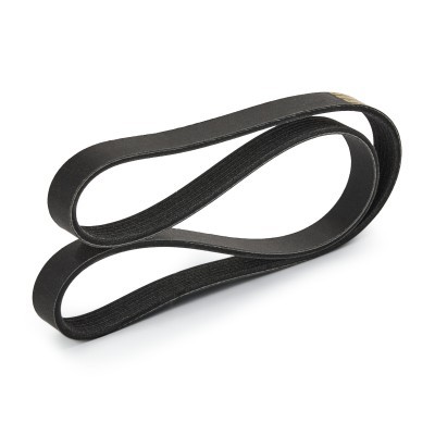 V-Ribbed Belt RIDEX 305P0536P 305P0536P - photo 3