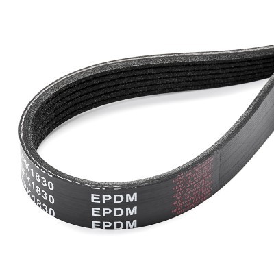 V-Ribbed Belt RIDEX 305P0338 305P0338 - photo 5