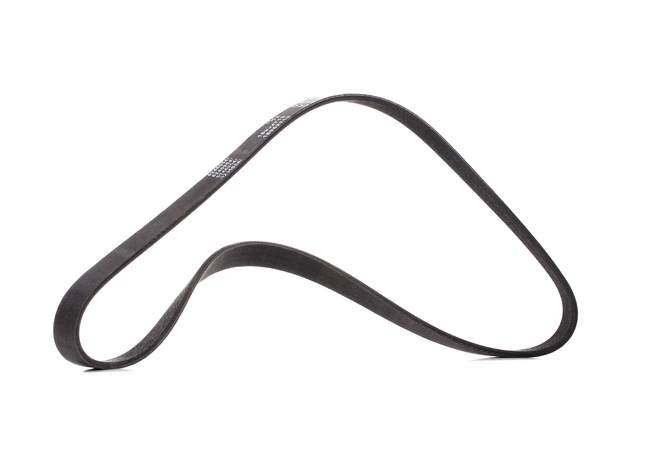 V-Ribbed Belt RIDEX 305P0291P 305P0291P - photo 1