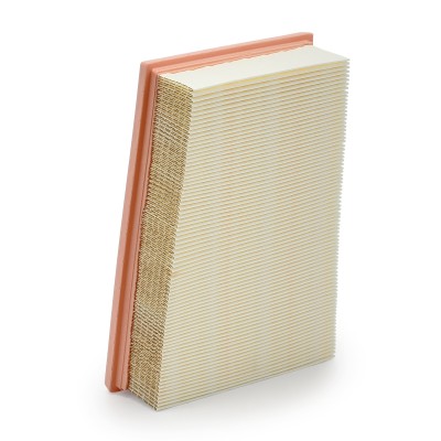 Air Filter RIDEX 8A0058 8A0058 - photo 10