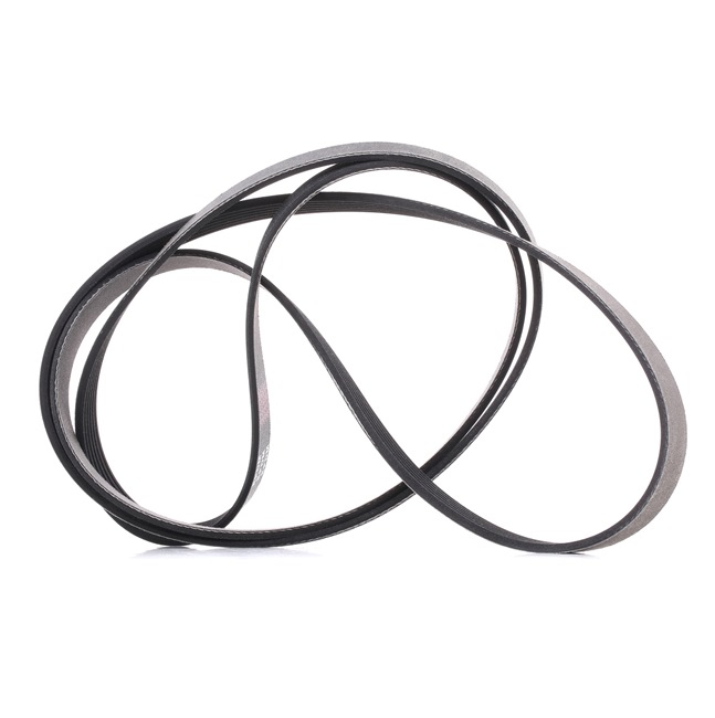 V-Ribbed Belt RIDEX 305P0112P 305P0112P - photo 1
