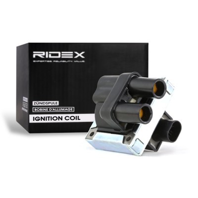 Ignition Coil RIDEX 689C0012 689C0012 - photo 2