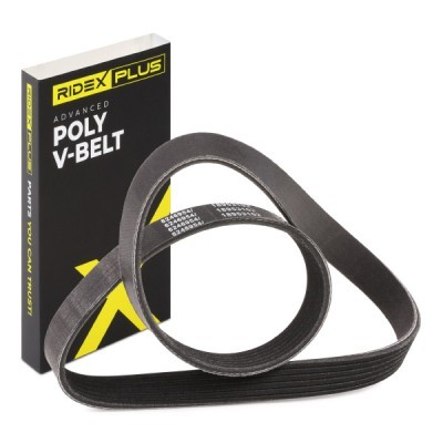 V-Ribbed Belt RIDEX 305P0494P 305P0494P - photo 2