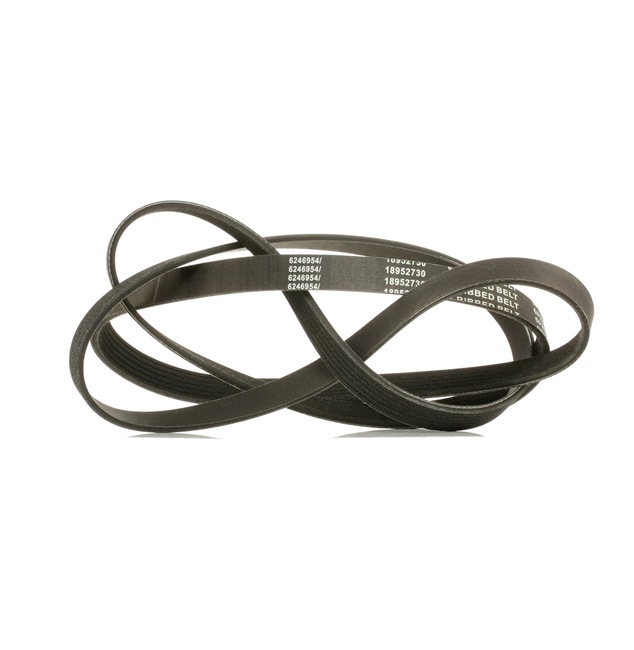 V-Ribbed Belt RIDEX 305P0162P 305P0162P - photo 1