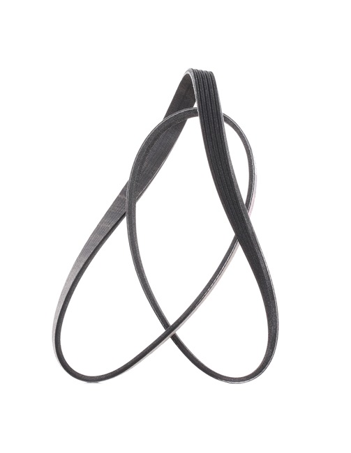 V-Ribbed Belt RIDEX 305P0152P 305P0152P - photo 1