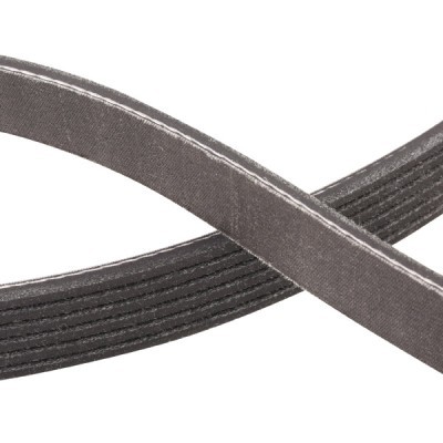 V-Ribbed Belt RIDEX 305P0098P 305P0098P - photo 5