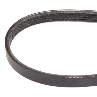 V-Ribbed Belt RIDEX 305P0381 305P0381 - photo 3