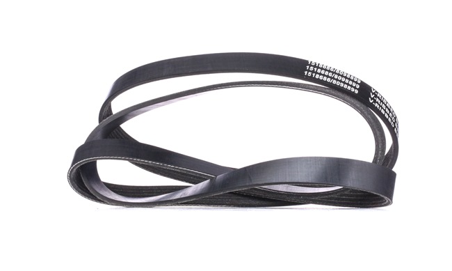 V-Ribbed Belt RIDEX 305P0085 305P0085 - photo 1