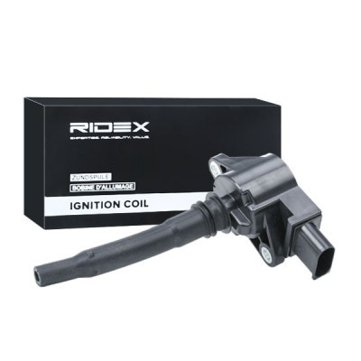 Ignition Coil RIDEX 689C0178 689C0178 - photo 3