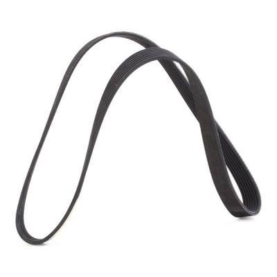 V-Ribbed Belt RIDEX 305P0186 305P0186 - photo 4