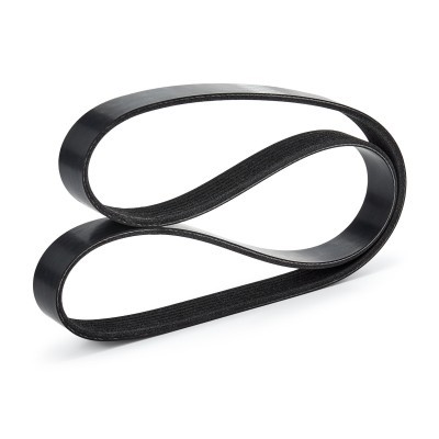 V-Ribbed Belt RIDEX 305P0440 305P0440 - photo 2