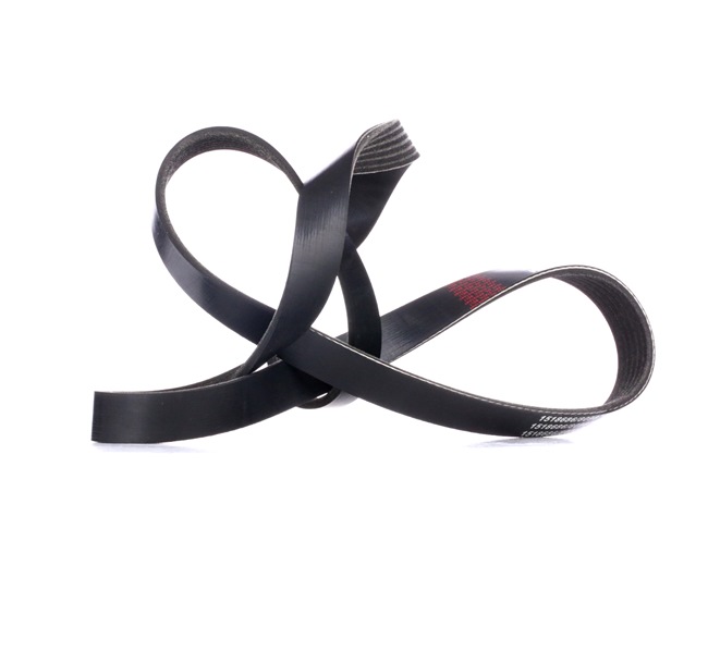 V-Ribbed Belt RIDEX 305P0170 305P0170 - photo 1