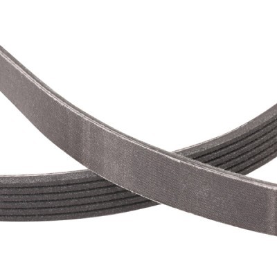 V-Ribbed Belt RIDEX 305P0298P 305P0298P - photo 5