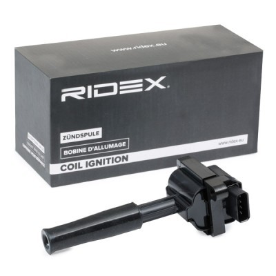 Ignition Coil RIDEX 689C0213 689C0213 - photo 3
