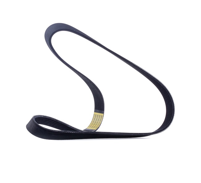 V-Ribbed Belt RIDEX 305P0138 305P0138 - photo 1