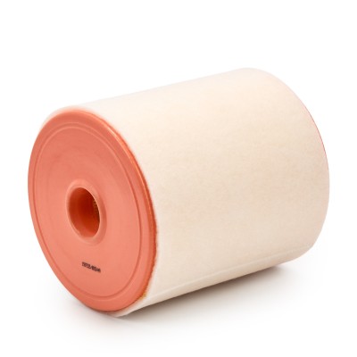 Air Filter RIDEX 8A0435 8A0435 - photo 9