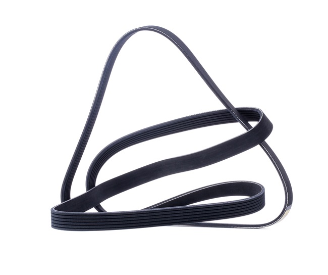 V-Ribbed Belt RIDEX 305P0128 305P0128 - photo 1
