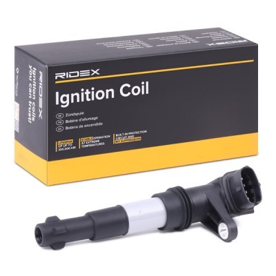 Ignition Coil RIDEX 689C0234 689C0234 - photo 2
