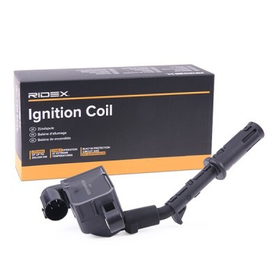Ignition Coil RIDEX 689C0391 689C0391 - photo 2