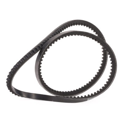 V-Belt RIDEX 10C0031P 10C0031P - photo 3