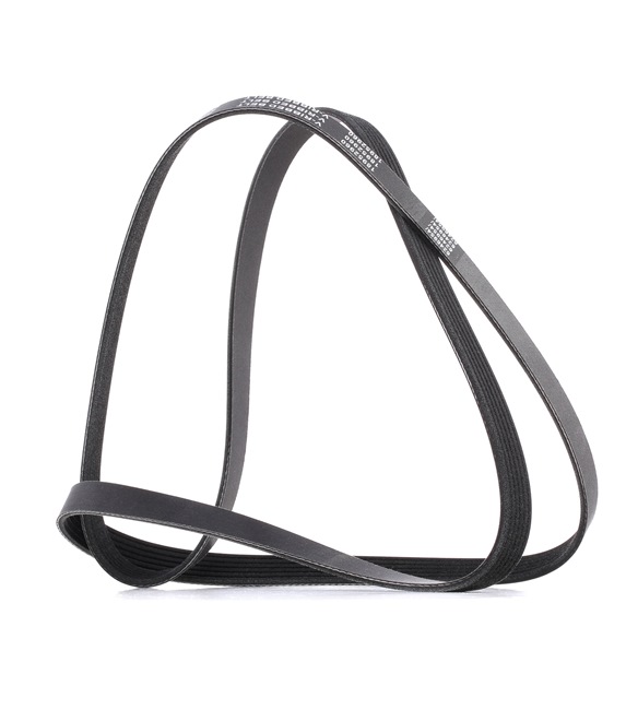 V-Ribbed Belt RIDEX 305P0069P 305P0069P - photo 1