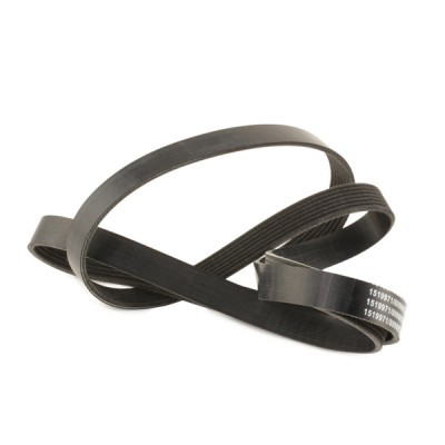 V-Ribbed Belt RIDEX 305P0362 305P0362 - photo 3
