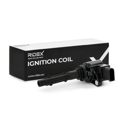 Ignition Coil RIDEX 689C0048 689C0048 - photo 2