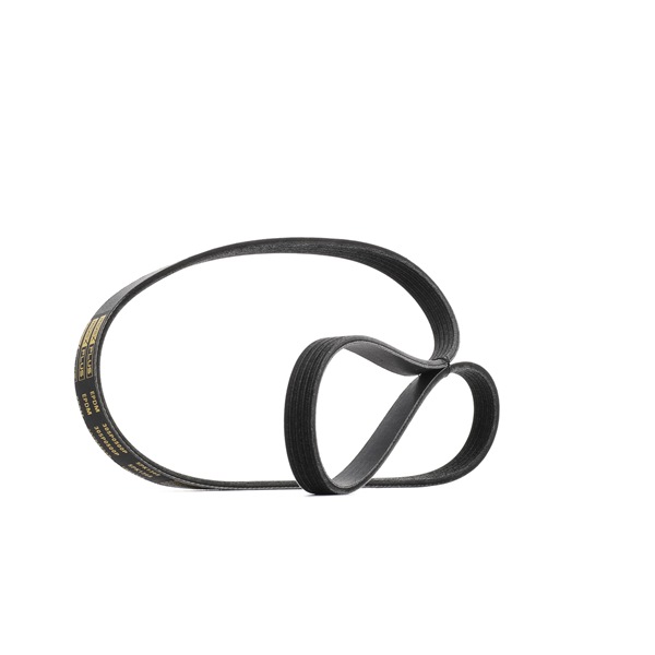 V-Ribbed Belt RIDEX 305P0500P 305P0500P - photo 1