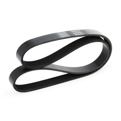 V-Ribbed Belt RIDEX 305P0116 305P0116 - photo 4