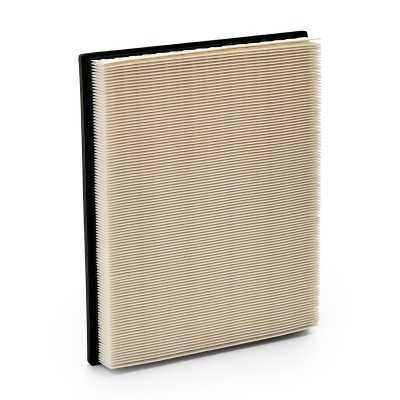 Air Filter RIDEX 8A0266 8A0266 - photo 9