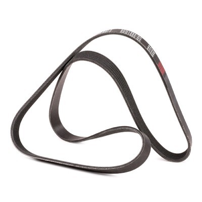 V-Ribbed Belt RIDEX 305P0123P 305P0123P - photo 3
