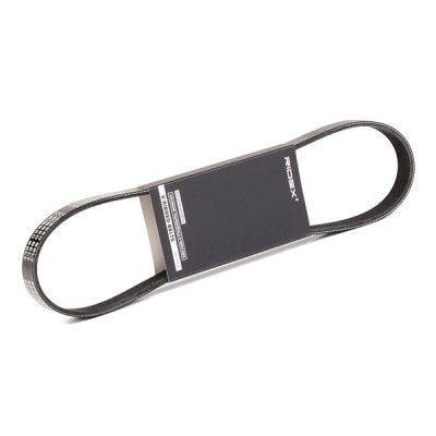 V-Ribbed Belt RIDEX 305P0312 305P0312 - photo 2