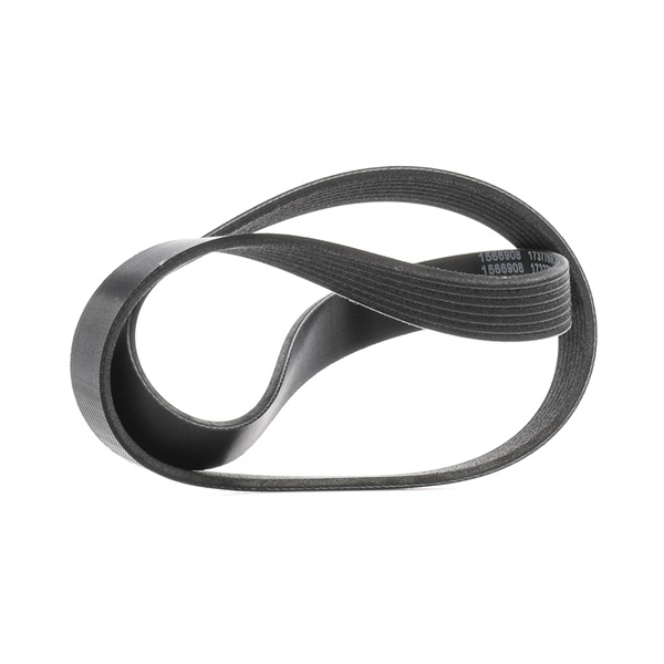 V-Ribbed Belt RIDEX 305P0580 305P0580 - photo 1