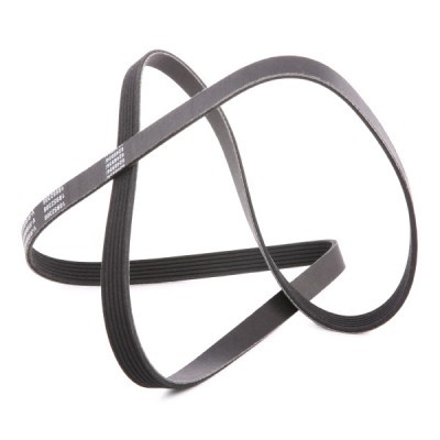 V-Ribbed Belt RIDEX 305P0171P 305P0171P - photo 3