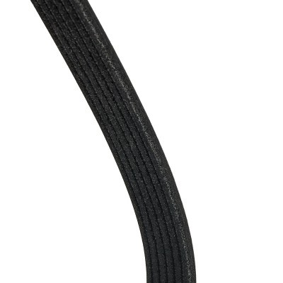 V-Ribbed Belt RIDEX 305P0466P 305P0466P - photo 8