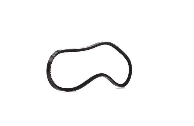 V-Ribbed Belt RIDEX 305P0339P 305P0339P - photo 1