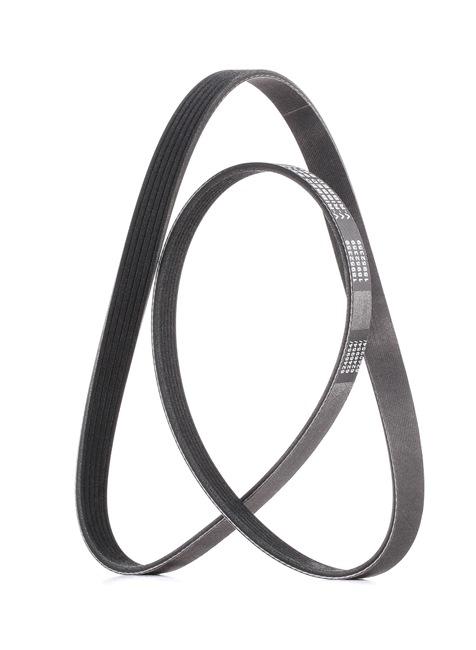 V-Ribbed Belt RIDEX 305P0179P 305P0179P - photo 1
