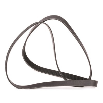 V-Ribbed Belt RIDEX 305P0508P 305P0508P - photo 3