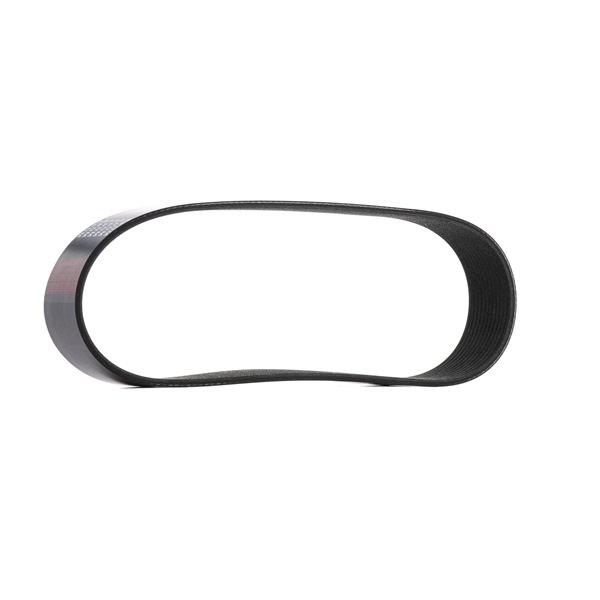 V-Ribbed Belt RIDEX 305P0622 305P0622 - photo 1