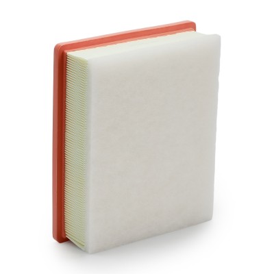 Air Filter RIDEX 8A0644 8A0644 - photo 9
