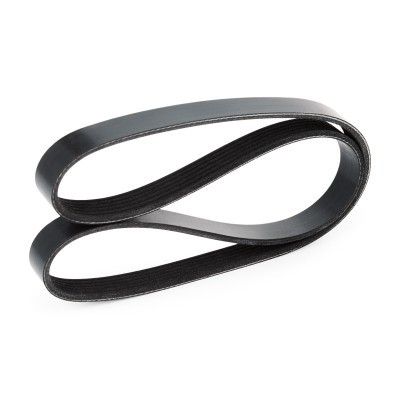 V-Ribbed Belt RIDEX 305P0056 305P0056 - photo 4