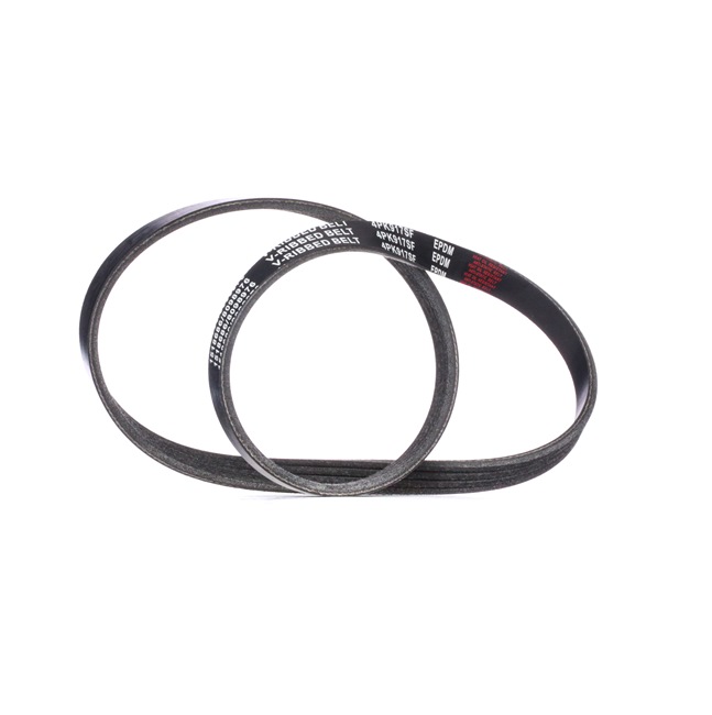 V-Ribbed Belt RIDEX 305P0305 305P0305 - photo 1