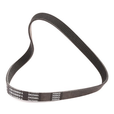 V-Ribbed Belt RIDEX 305P0165P 305P0165P - photo 3