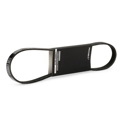 V-Ribbed Belt RIDEX 305P0025 305P0025 - photo 2