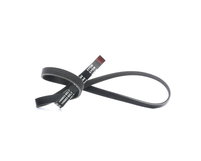 V-Ribbed Belt RIDEX 305P0042 305P0042 - photo 1
