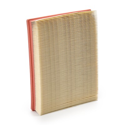 Air Filter RIDEX 8A0174 8A0174 - photo 9