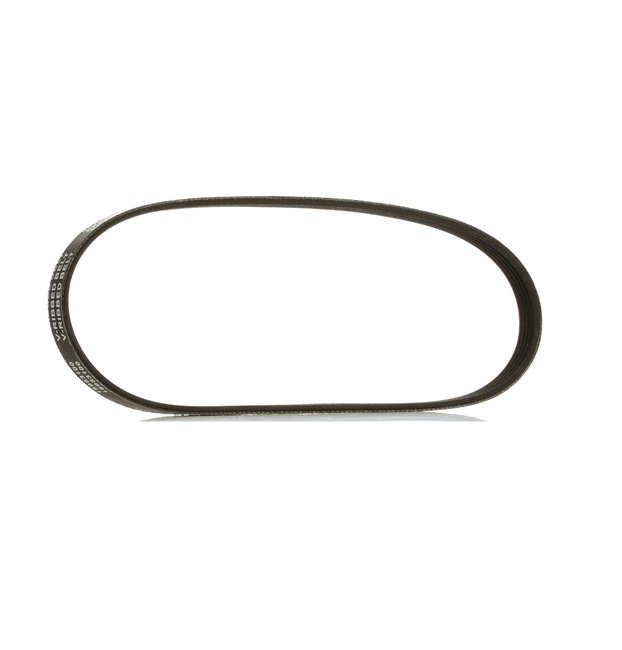 V-Ribbed Belt RIDEX 305P0117P 305P0117P - photo 1